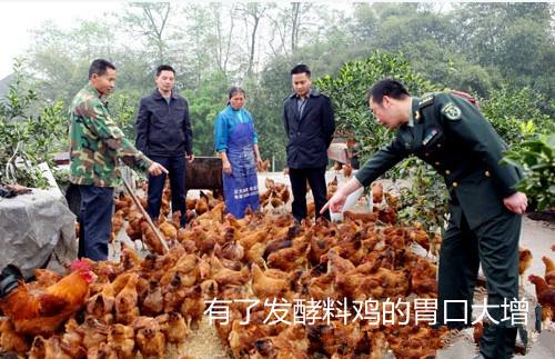 醬油渣處理后可以做為飼料